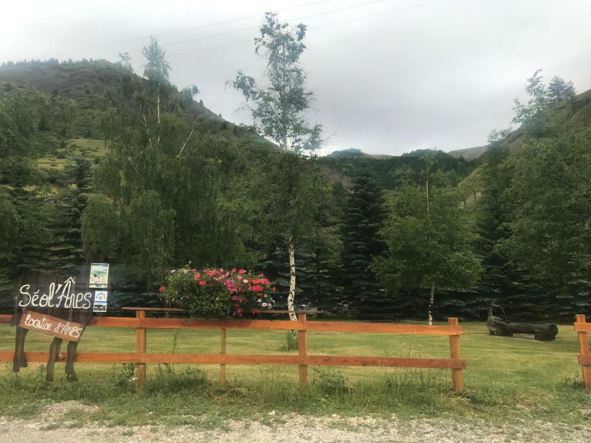 Chaleureux A La Foux D'allos Apartamento